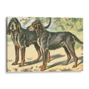 Mans Best Frive Xi | Cuadro decorativo de Canvas Lab