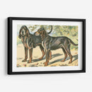 Mans Best Frive Xi | Cuadro decorativo de Canvas Lab