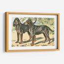 Mans Best Frive Xi | Cuadro decorativo de Canvas Lab