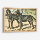 Mans Best Frive Xi | Cuadro decorativo de Canvas Lab