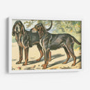 Mans Best Frive Xi | Cuadro decorativo de Canvas Lab