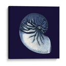 Conchas De Índigo Vii - Vision Studio | Cuadro decorativo de Canvas Lab