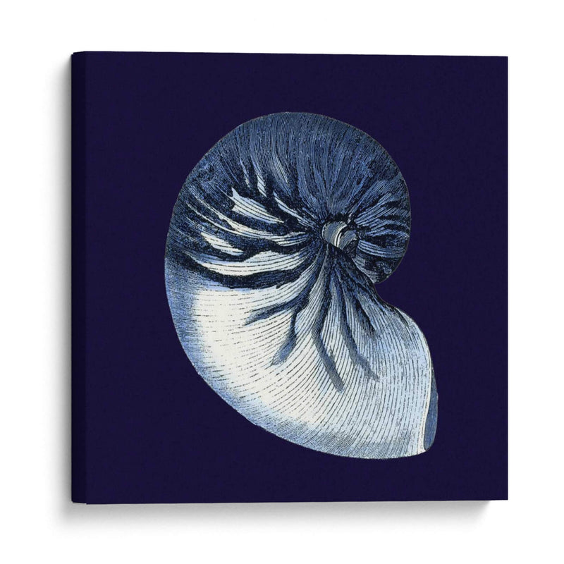 Conchas De Índigo Vii - Vision Studio | Cuadro decorativo de Canvas Lab