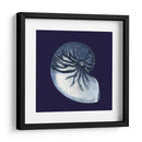 Conchas De Índigo Vii - Vision Studio | Cuadro decorativo de Canvas Lab