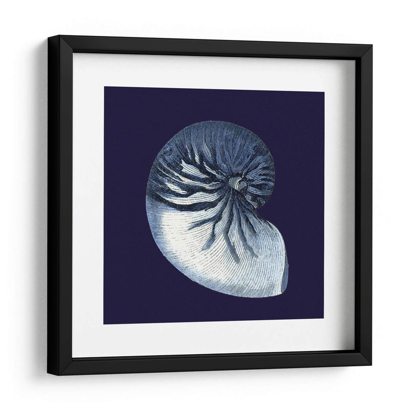 Conchas De Índigo Vii - Vision Studio | Cuadro decorativo de Canvas Lab