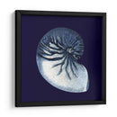 Conchas De Índigo Vii - Vision Studio | Cuadro decorativo de Canvas Lab