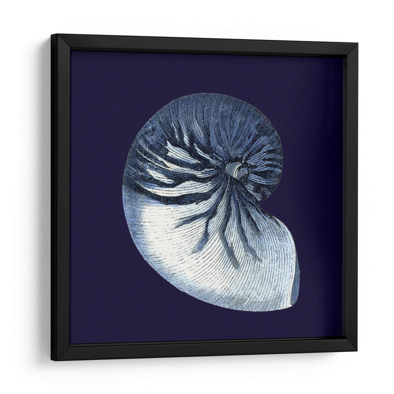 Conchas De Índigo Vii - Vision Studio | Cuadro decorativo de Canvas Lab