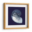 Conchas De Índigo Vii - Vision Studio | Cuadro decorativo de Canvas Lab