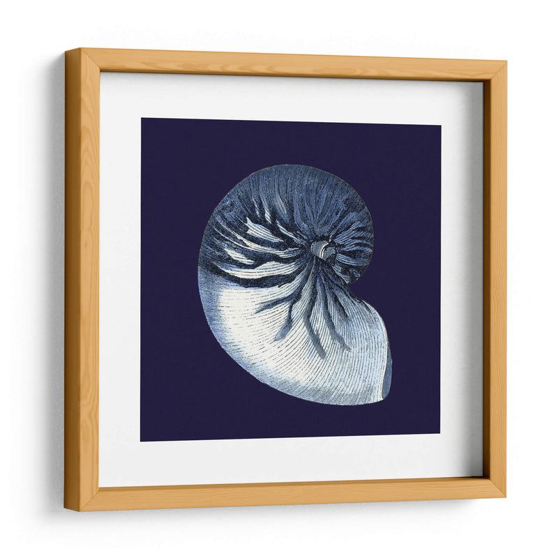 Conchas De Índigo Vii - Vision Studio | Cuadro decorativo de Canvas Lab