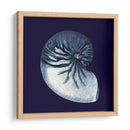 Conchas De Índigo Vii - Vision Studio | Cuadro decorativo de Canvas Lab