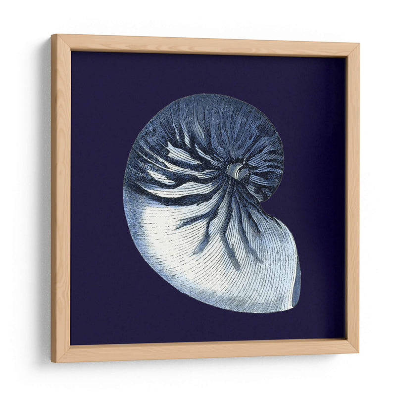 Conchas De Índigo Vii - Vision Studio | Cuadro decorativo de Canvas Lab