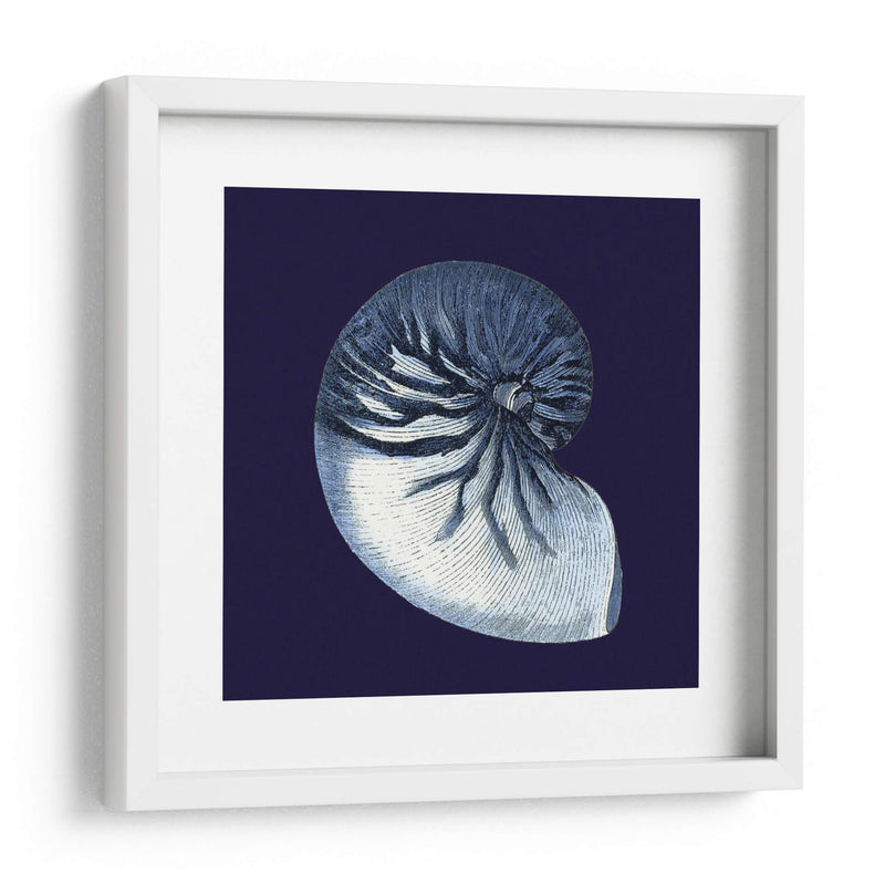 Conchas De Índigo Vii - Vision Studio | Cuadro decorativo de Canvas Lab