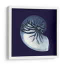 Conchas De Índigo Vii - Vision Studio | Cuadro decorativo de Canvas Lab