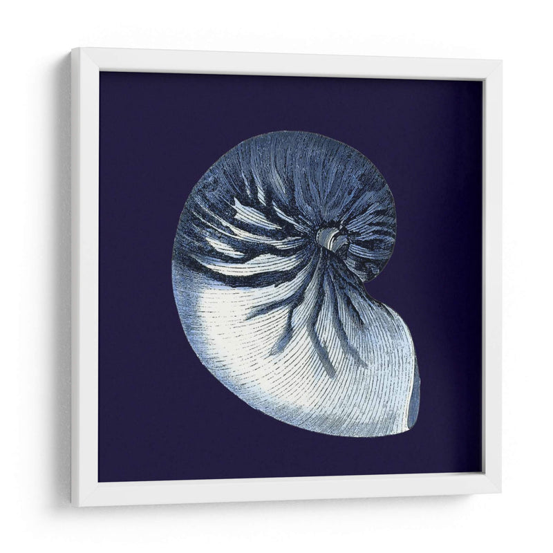 Conchas De Índigo Vii - Vision Studio | Cuadro decorativo de Canvas Lab