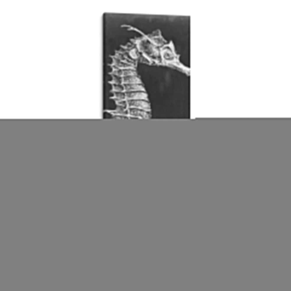 Marhorse Blueprint Ii - Vision Studio | Cuadro decorativo de Canvas Lab