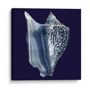 Conchas De Índigo I - Vision Studio | Cuadro decorativo de Canvas Lab