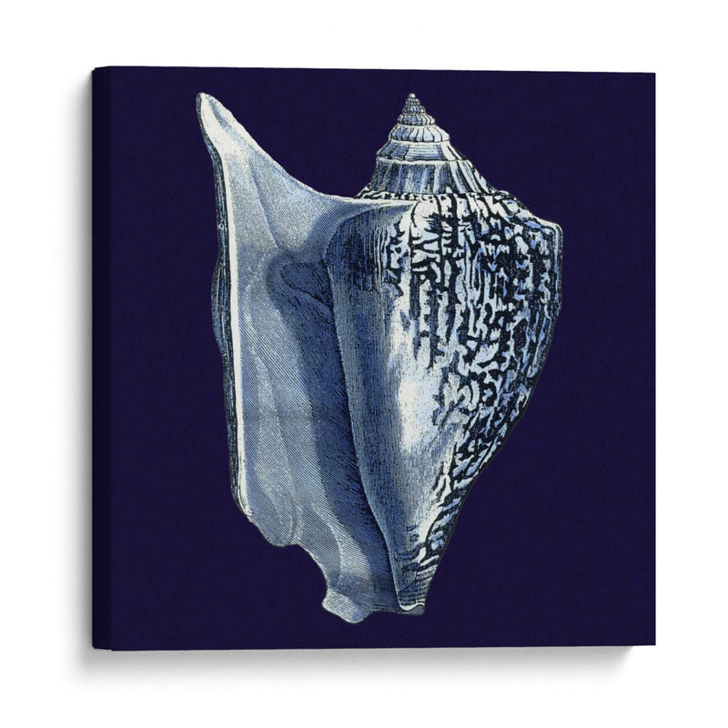 Conchas De Índigo I - Vision Studio | Cuadro decorativo de Canvas Lab