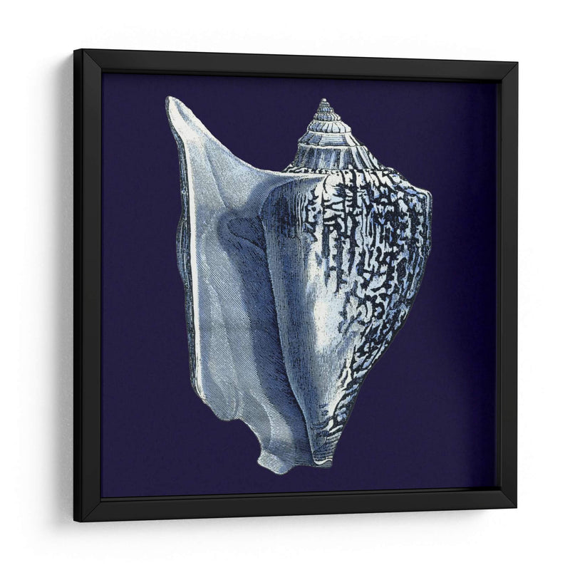 Conchas De Índigo I - Vision Studio | Cuadro decorativo de Canvas Lab