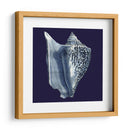 Conchas De Índigo I - Vision Studio | Cuadro decorativo de Canvas Lab