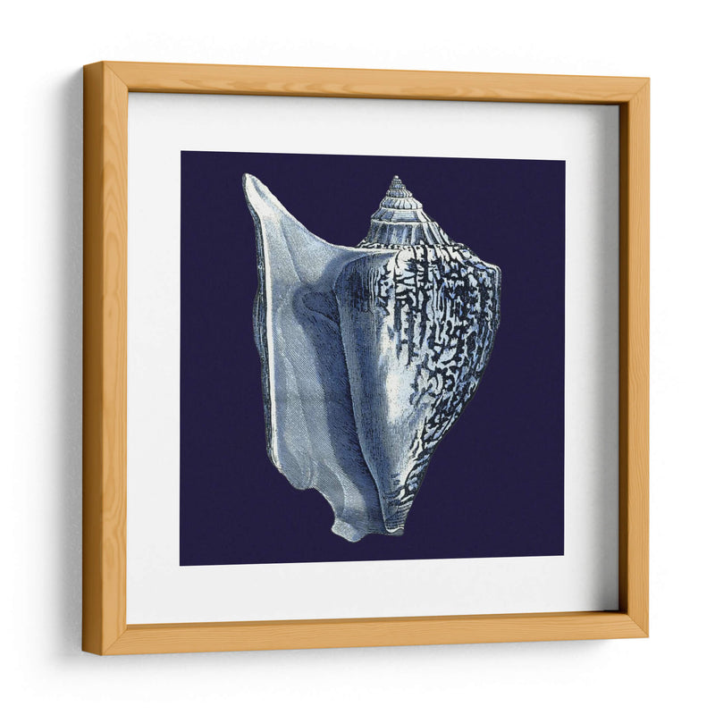 Conchas De Índigo I - Vision Studio | Cuadro decorativo de Canvas Lab