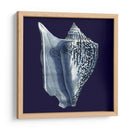 Conchas De Índigo I - Vision Studio | Cuadro decorativo de Canvas Lab
