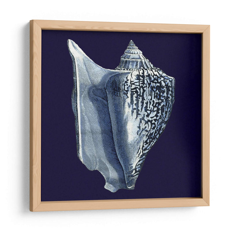 Conchas De Índigo I - Vision Studio | Cuadro decorativo de Canvas Lab