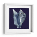 Conchas De Índigo I - Vision Studio | Cuadro decorativo de Canvas Lab