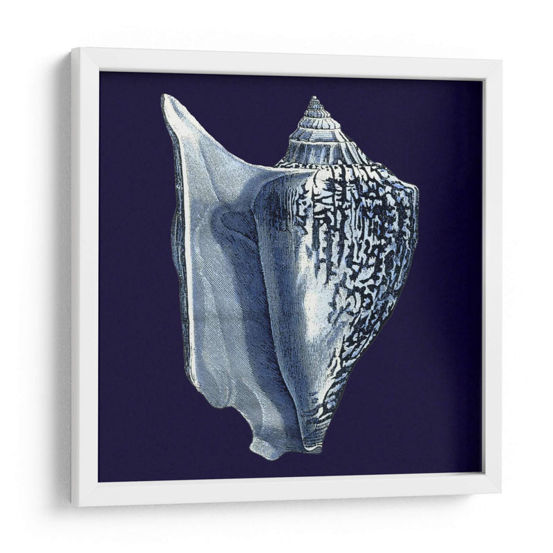 Conchas De Índigo I - Vision Studio | Cuadro decorativo de Canvas Lab