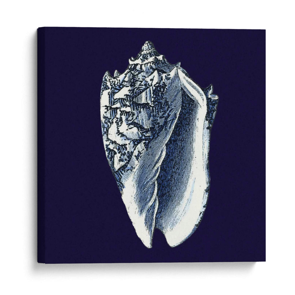 Shells Indigo Ii - Vision Studio | Cuadro decorativo de Canvas Lab