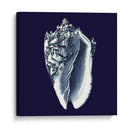 Shells Indigo Ii - Vision Studio | Cuadro decorativo de Canvas Lab