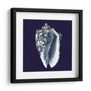 Shells Indigo Ii - Vision Studio | Cuadro decorativo de Canvas Lab