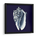 Shells Indigo Ii - Vision Studio | Cuadro decorativo de Canvas Lab