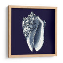 Shells Indigo Ii - Vision Studio | Cuadro decorativo de Canvas Lab