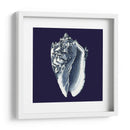 Shells Indigo Ii - Vision Studio | Cuadro decorativo de Canvas Lab