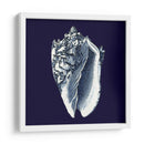 Shells Indigo Ii - Vision Studio | Cuadro decorativo de Canvas Lab