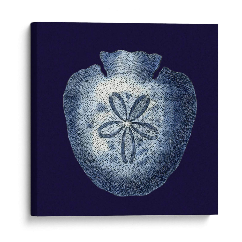 Conchas De Índigo Iii - Vision Studio | Cuadro decorativo de Canvas Lab