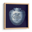 Conchas De Índigo Iii - Vision Studio | Cuadro decorativo de Canvas Lab