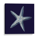 Shells Indigo Iv - Vision Studio | Cuadro decorativo de Canvas Lab