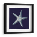 Shells Indigo Iv - Vision Studio | Cuadro decorativo de Canvas Lab