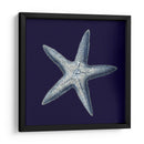 Shells Indigo Iv - Vision Studio | Cuadro decorativo de Canvas Lab