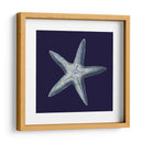 Shells Indigo Iv - Vision Studio | Cuadro decorativo de Canvas Lab