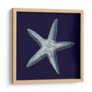 Shells Indigo Iv - Vision Studio | Cuadro decorativo de Canvas Lab