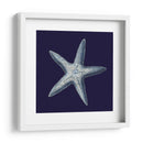 Shells Indigo Iv - Vision Studio | Cuadro decorativo de Canvas Lab