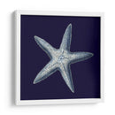 Shells Indigo Iv - Vision Studio | Cuadro decorativo de Canvas Lab
