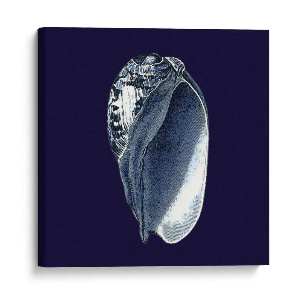 Shells Indigo V - Vision Studio | Cuadro decorativo de Canvas Lab