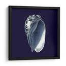 Shells Indigo V - Vision Studio | Cuadro decorativo de Canvas Lab