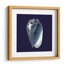 Shells Indigo V - Vision Studio | Cuadro decorativo de Canvas Lab