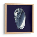 Shells Indigo V - Vision Studio | Cuadro decorativo de Canvas Lab