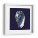 Shells Indigo V - Vision Studio | Cuadro decorativo de Canvas Lab
