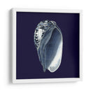Shells Indigo V - Vision Studio | Cuadro decorativo de Canvas Lab